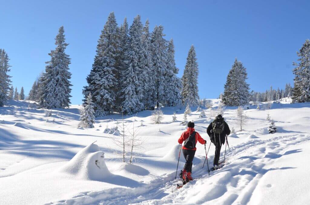 Zwei Personen beim Schneeschuhwandern durch verschneiten Wald, blauer Himmel, Winterlandschaft.