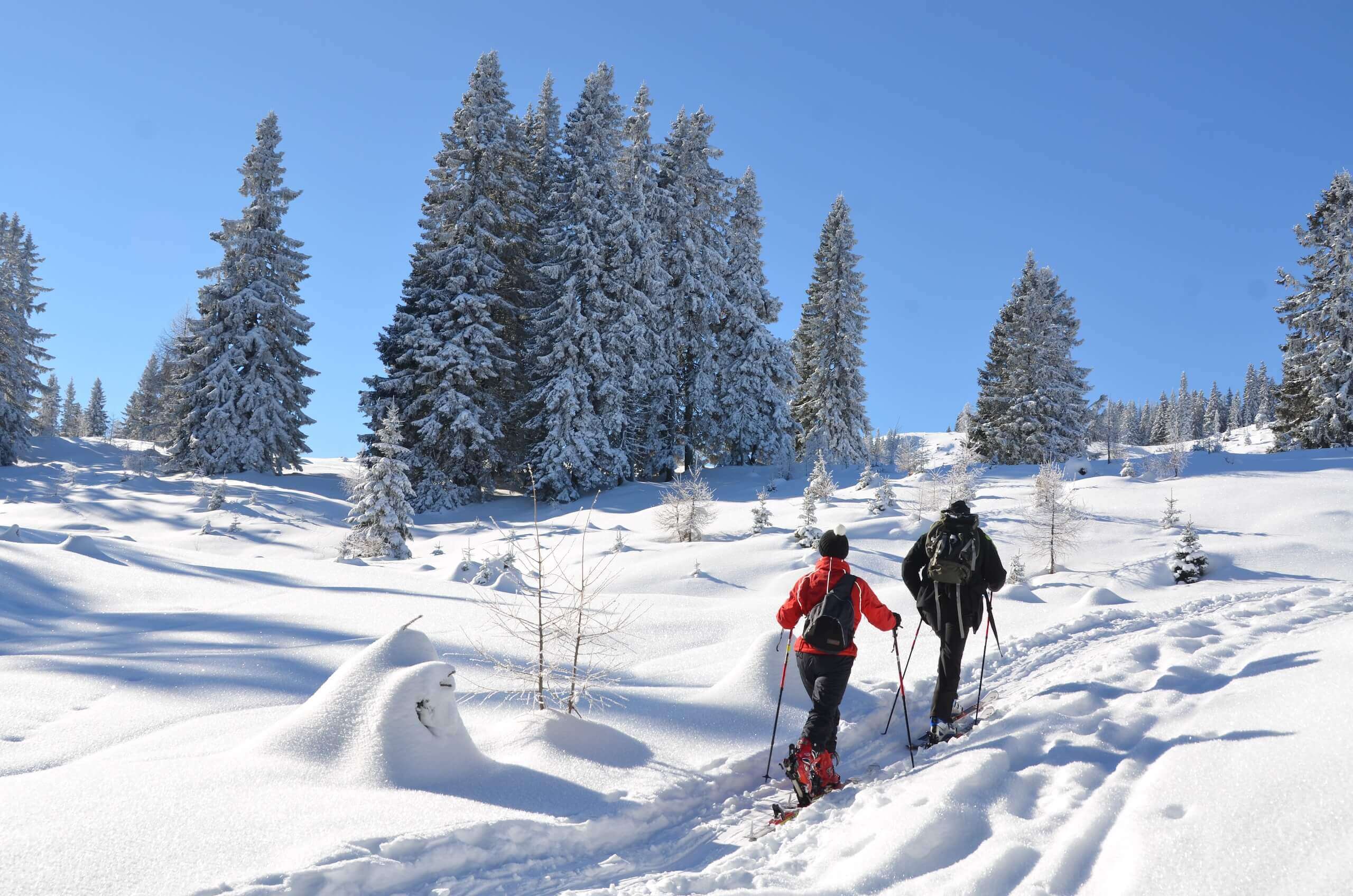 Zwei Personen beim Schneeschuhwandern durch verschneiten Wald, blauer Himmel, Winterlandschaft.