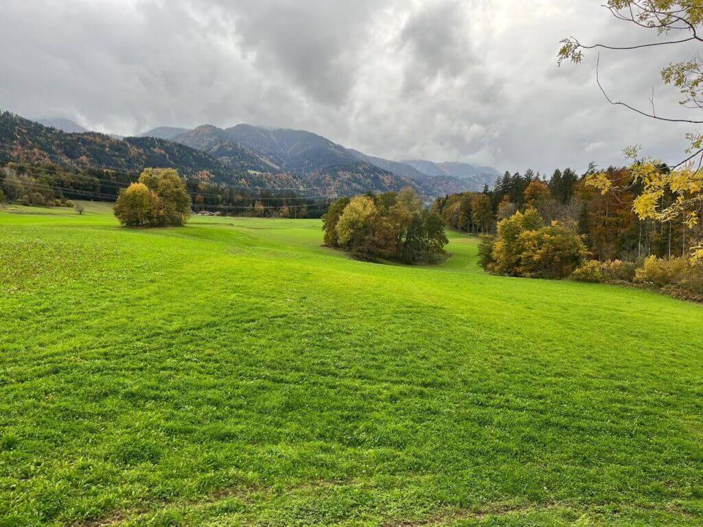 Grüne Wiese mit herbstlichen Bäumen unter bewölktem Himmel vor einer Bergkulisse. Ideal für Natur- und Landschaftsliebhaber.