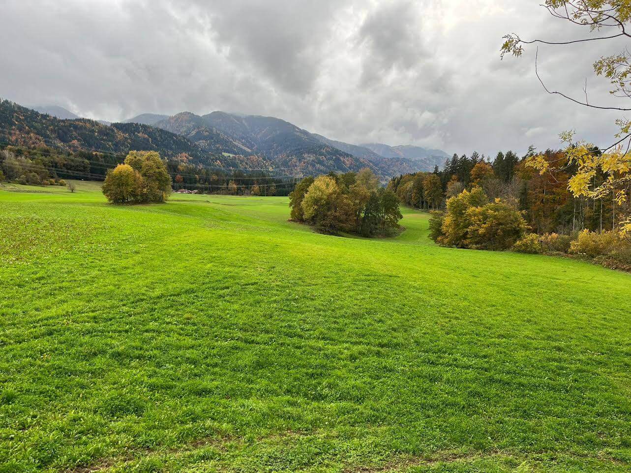 Grüne Wiese mit herbstlichen Bäumen unter bewölktem Himmel vor einer Bergkulisse. Ideal für Natur- und Landschaftsliebhaber.