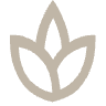 Abstraktes Blattsymbol in Beige auf transparentem Hintergrund, ideal für nachhaltige Marken und Umweltthemen.