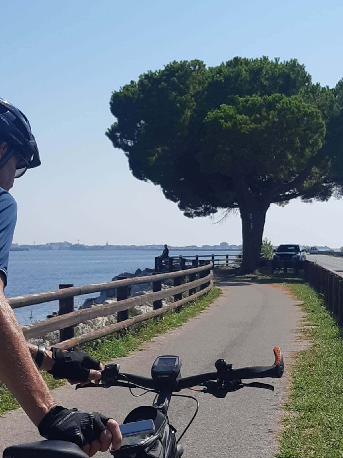 Radfahrer auf Küstenweg mit Meerblick, umgeben von Natur und einem großen Baum an sonnigem Tag.